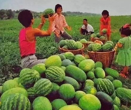 娱乐圈的隐秘角落：从吃瓜到热点事件的背后真相揭秘