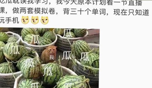 7月娱乐圈最新爆料：明星沙雕瞬间大揭秘