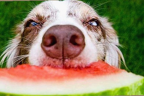 黑料吃瓜总站：娱乐圈大瓜背后的多面故事揭秘