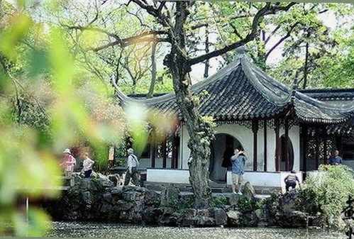 黄晓明与陈玉珊携手庆祝，杨紫直播热度持续高涨