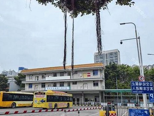 娱乐圈硬汉与文艺明星领风骚，吃瓜在线揭秘闪耀背后的多面魅力