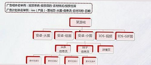 吃瓜娱乐小仙女从网络新人到热点人物的背后故事揭秘